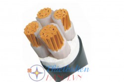 Cáp điều khiển