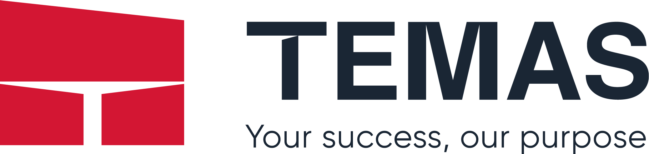 Temas Engineering JSC logo